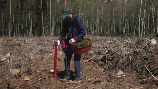 Pottiputki Istutusputki 45 Mm DP - Image 3