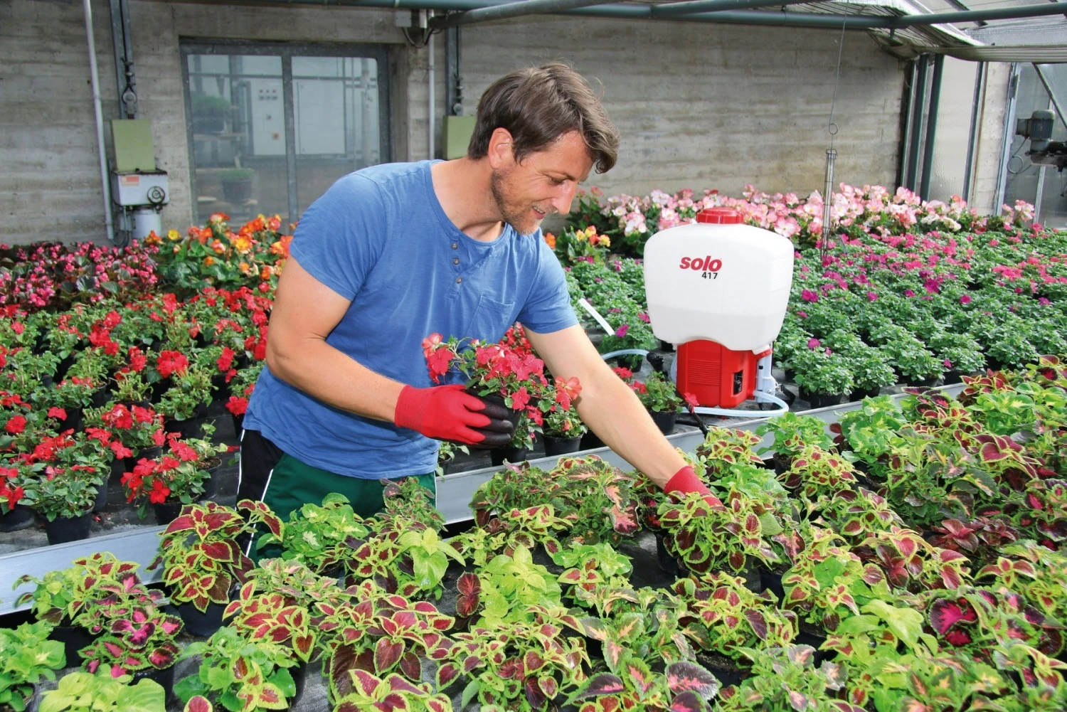 SOLO 417 Ruisku - Image 2