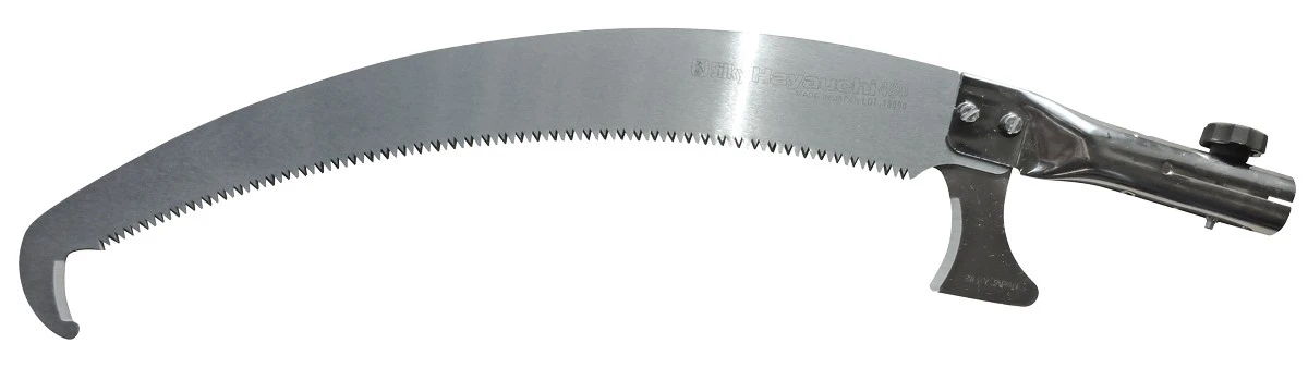 Silky Hayauchi Oksasaha - Image 2