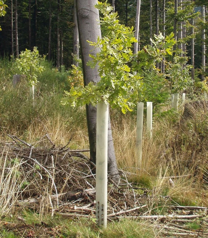 Tubex-Ventex Runkosuoja