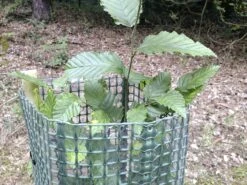 Tubex Layflat SG 120 Cm